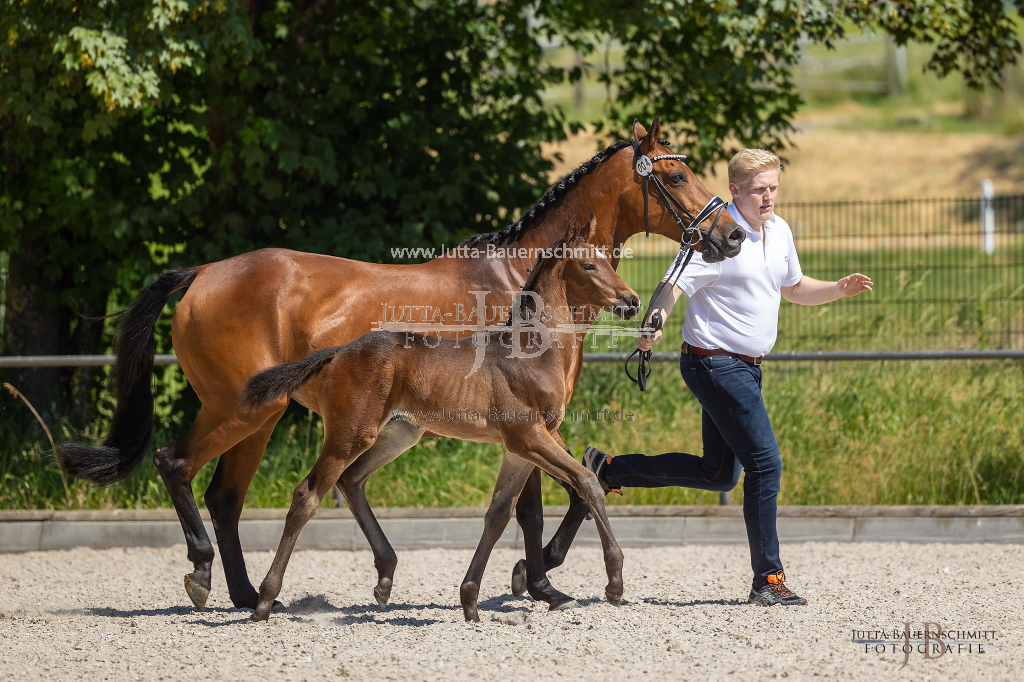 Preview 23_04-Herrenberg_JB_08956.jpg