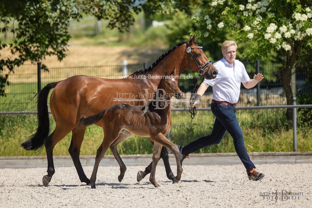 Preview 23_04-Herrenberg_JB_08962.jpg