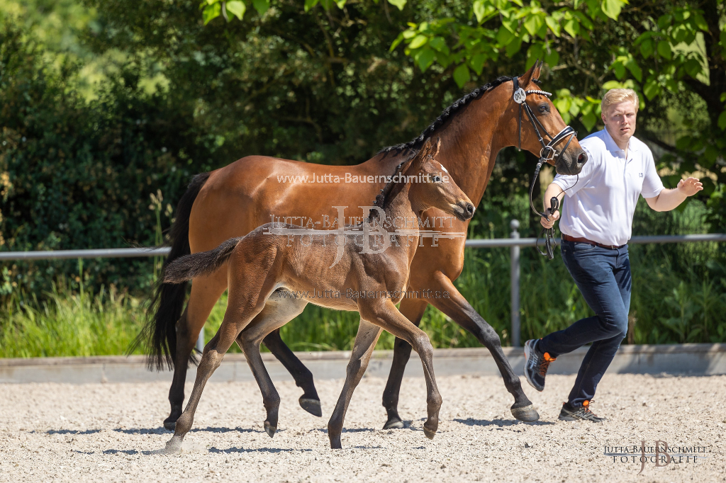 Preview 23_04-Herrenberg_JB_08971.jpg