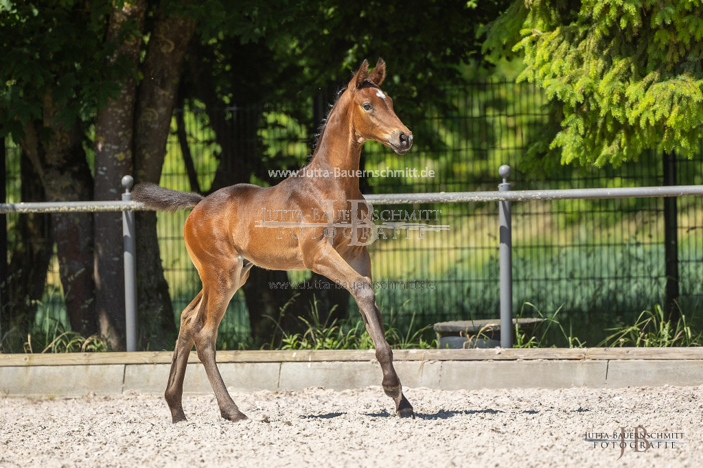 Preview 23_04-Herrenberg_JB_09201.jpg