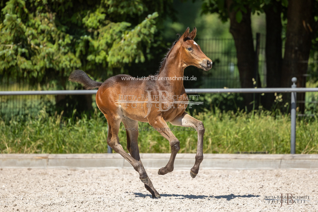 Preview 23_04-Herrenberg_JB_09229.jpg