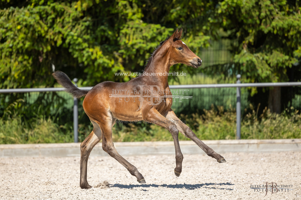 Preview 23_04-Herrenberg_JB_09240.jpg