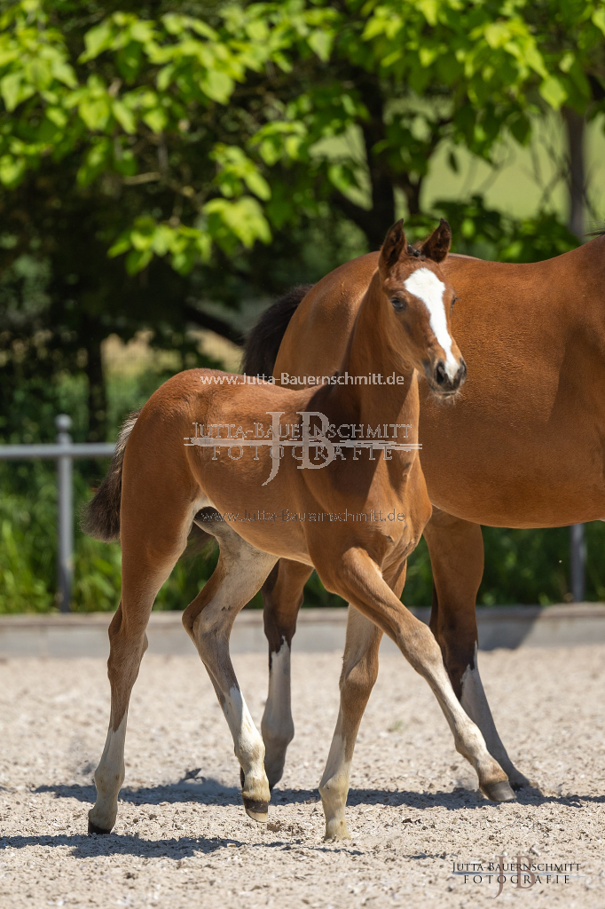 Preview 23_05-Herrenberg_JB_09789.jpg