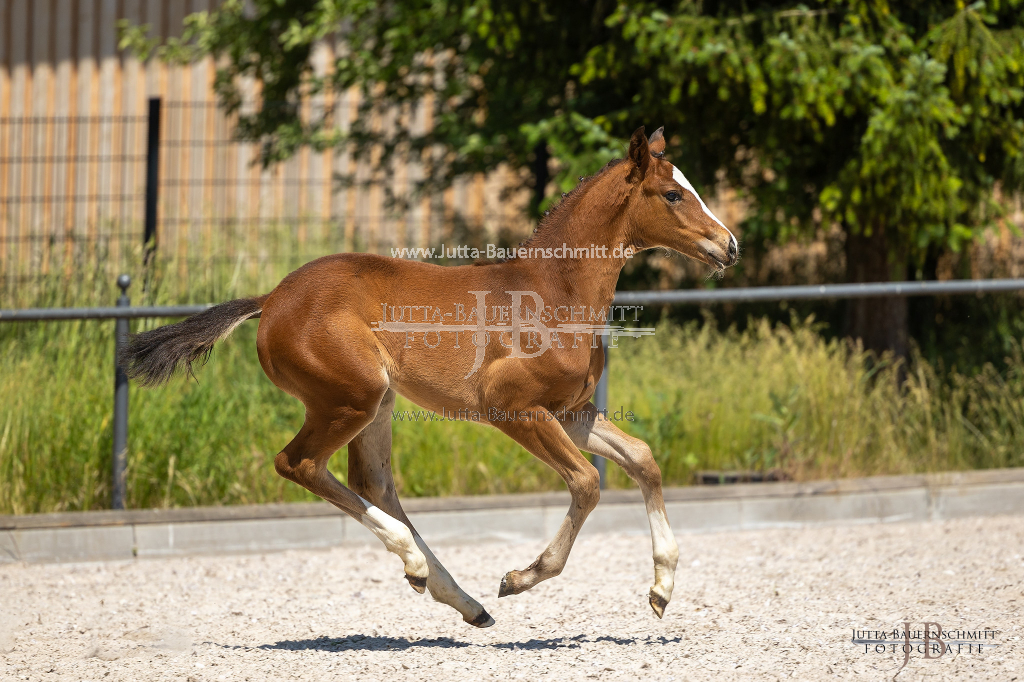 Preview 23_05-Herrenberg_JB_09936.jpg