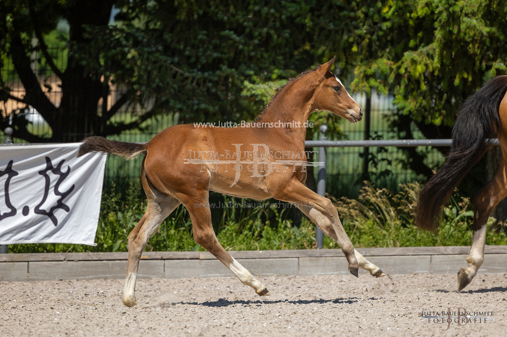 Preview 23_05-Herrenberg_JB_10031.jpg