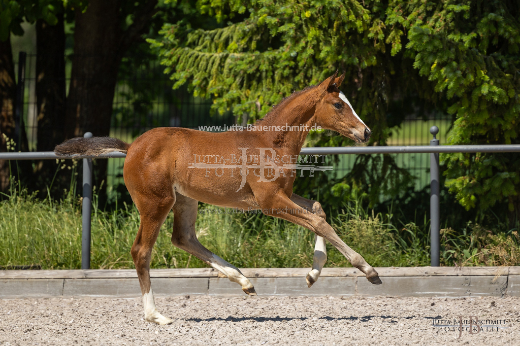 Preview 23_05-Herrenberg_JB_10094.jpg