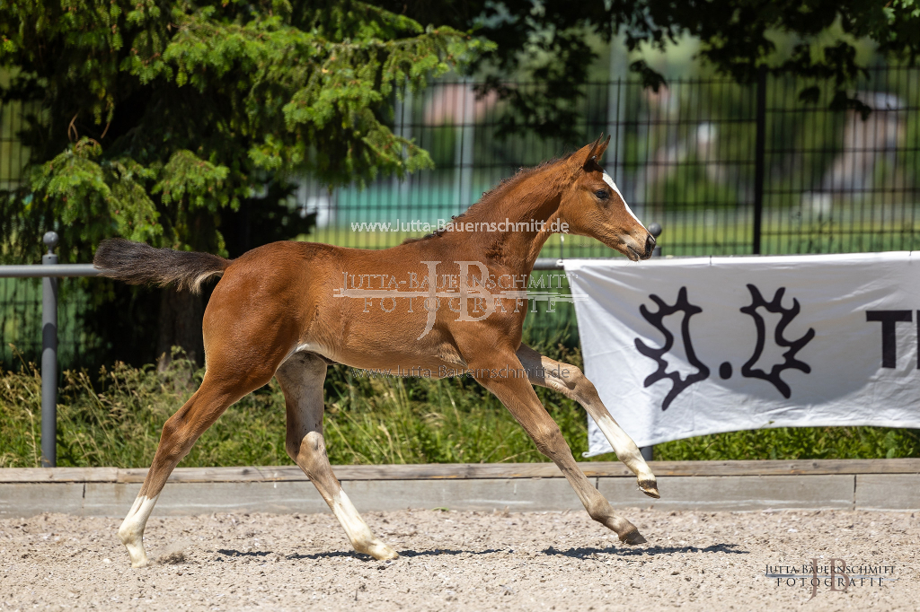 Preview 23_05-Herrenberg_JB_10105.jpg