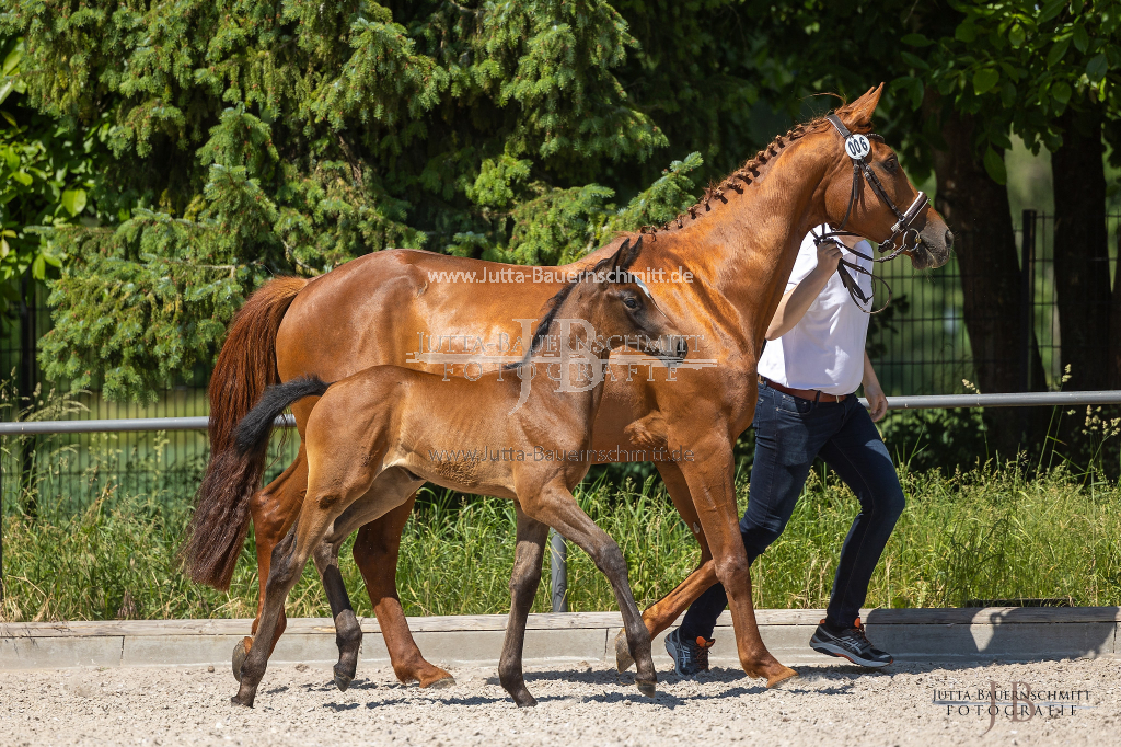 Preview 23_06-Herrenberg_JB_09370.jpg