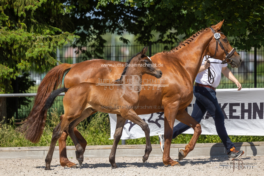 Preview 23_06-Herrenberg_JB_09385.jpg