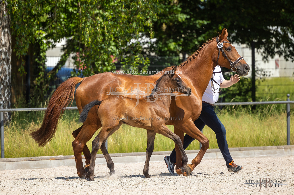 Preview 23_06-Herrenberg_JB_09397.jpg