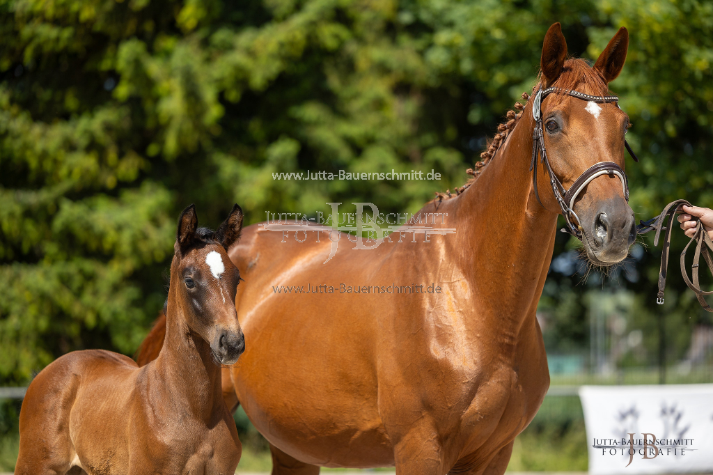 Preview 23_06-Herrenberg_JB_09484.jpg