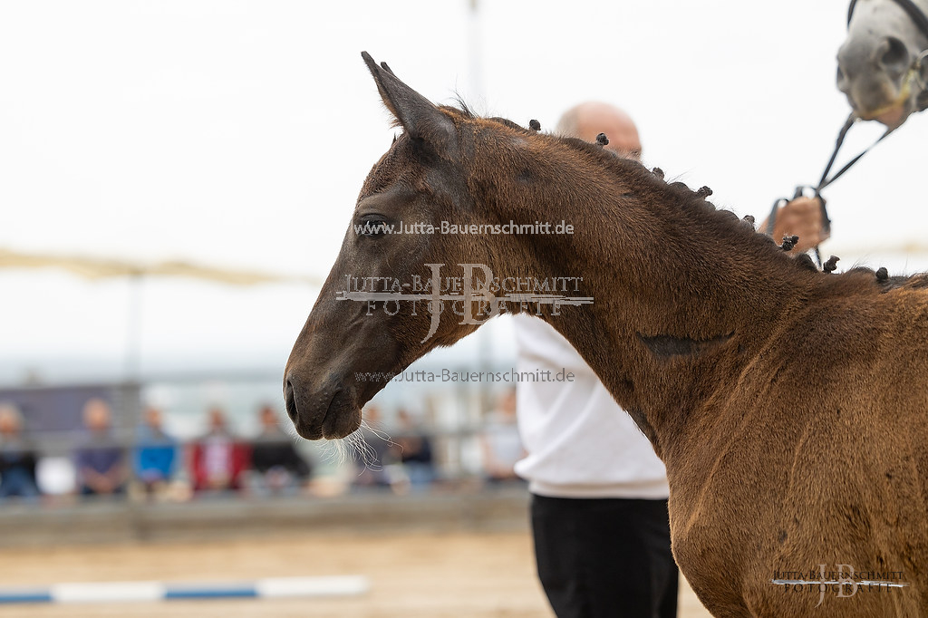 Preview 23-Hoerstein-SF-1_02_JB_02693.jpg