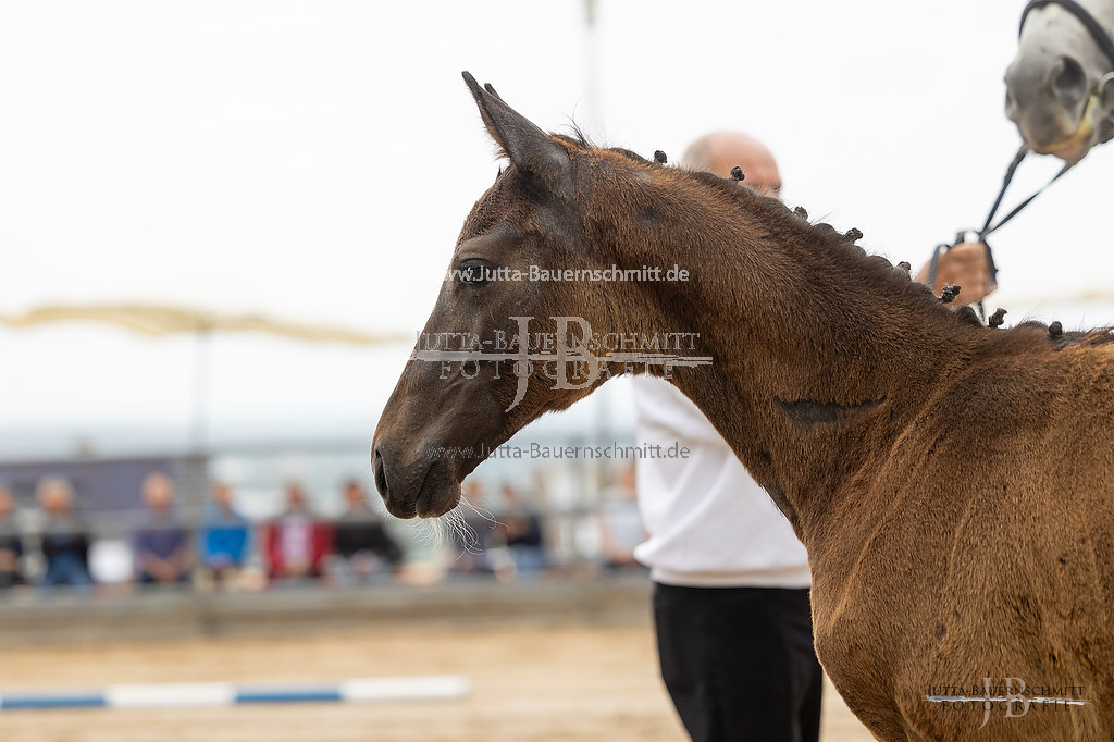 Preview 23-Hoerstein-SF-1_02_JB_02695.jpg