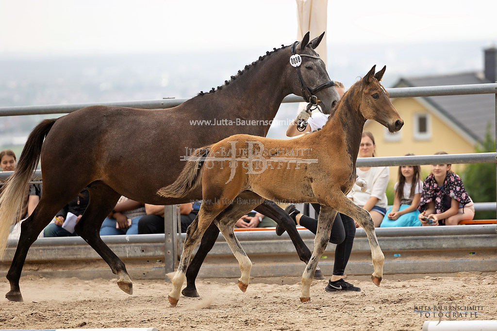 Preview 23-Hoerstein-HF-4_38_JB_08871.jpg