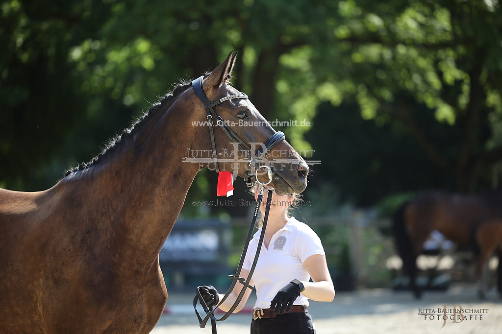 Preview 23-LSSHessen-2_APartofNature_JB_05647.jpg