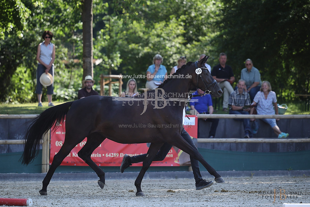 Preview 23-LSSHessen-2_Hekla_JB_05507.jpg