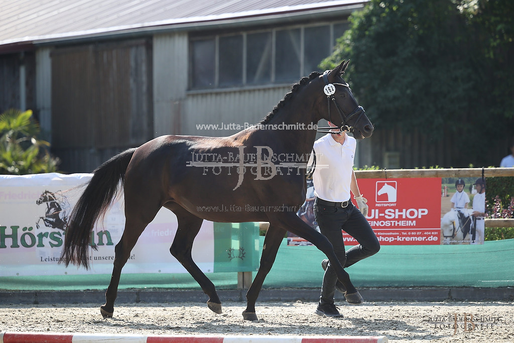 Preview 23-LSSHessen-2_Hekla_JB_05511.jpg