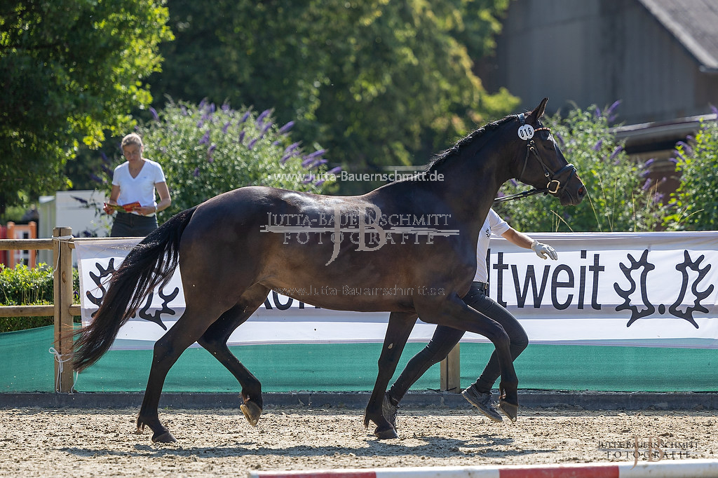 Preview 23-LSSHessen-3_Novelle_JB_05784.jpg