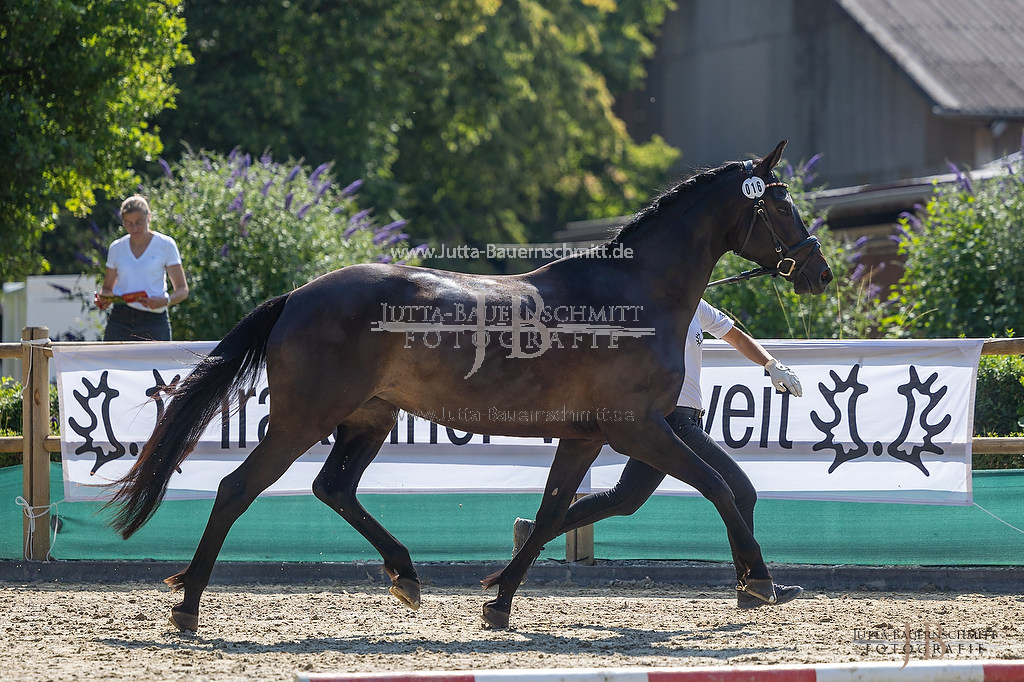 Preview 23-LSSHessen-3_Novelle_JB_05785.jpg