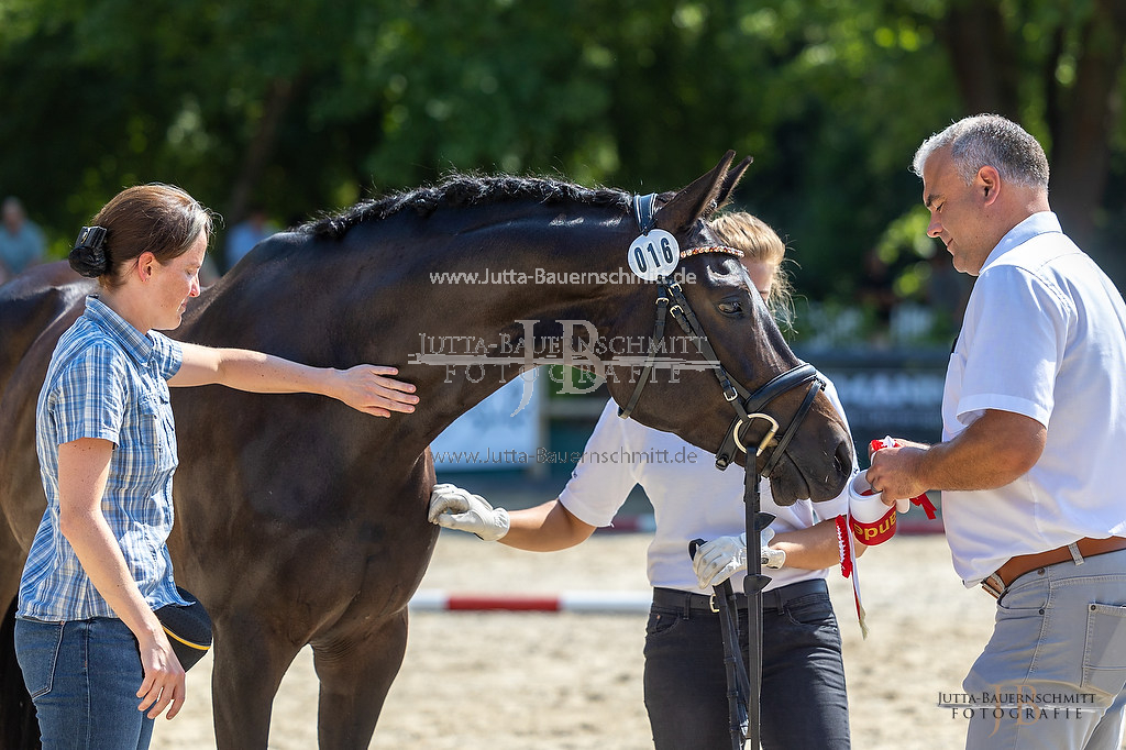 Preview 23-LSSHessen-3_Novelle_JB_06046.jpg