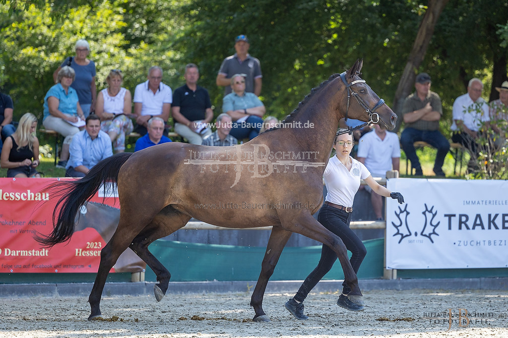 Preview 23-LSSHessen-3_Saheli_JB_05746.jpg