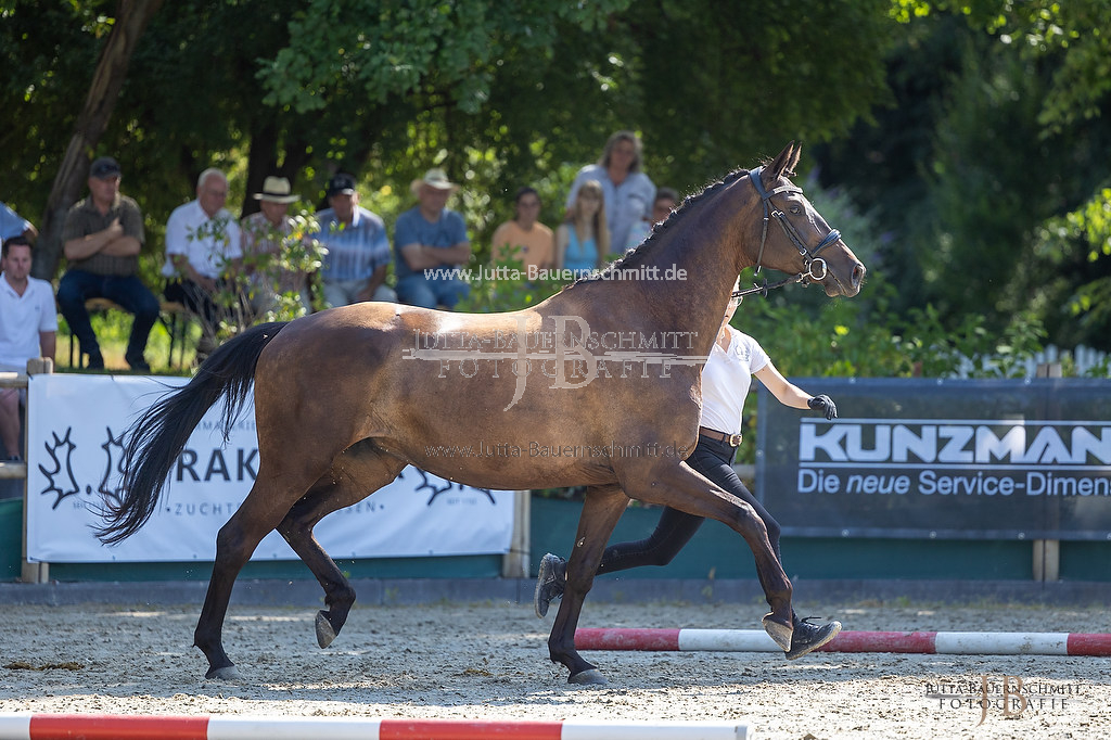 Preview 23-LSSHessen-3_Saheli_JB_05750.jpg