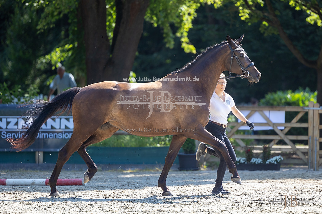 Preview 23-LSSHessen-3_Saheli_JB_05753.jpg