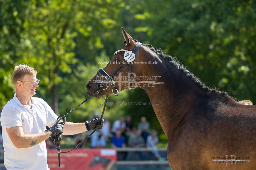 Preview 23-LSSHessen-3_Zaubernote_JB_05842.jpg