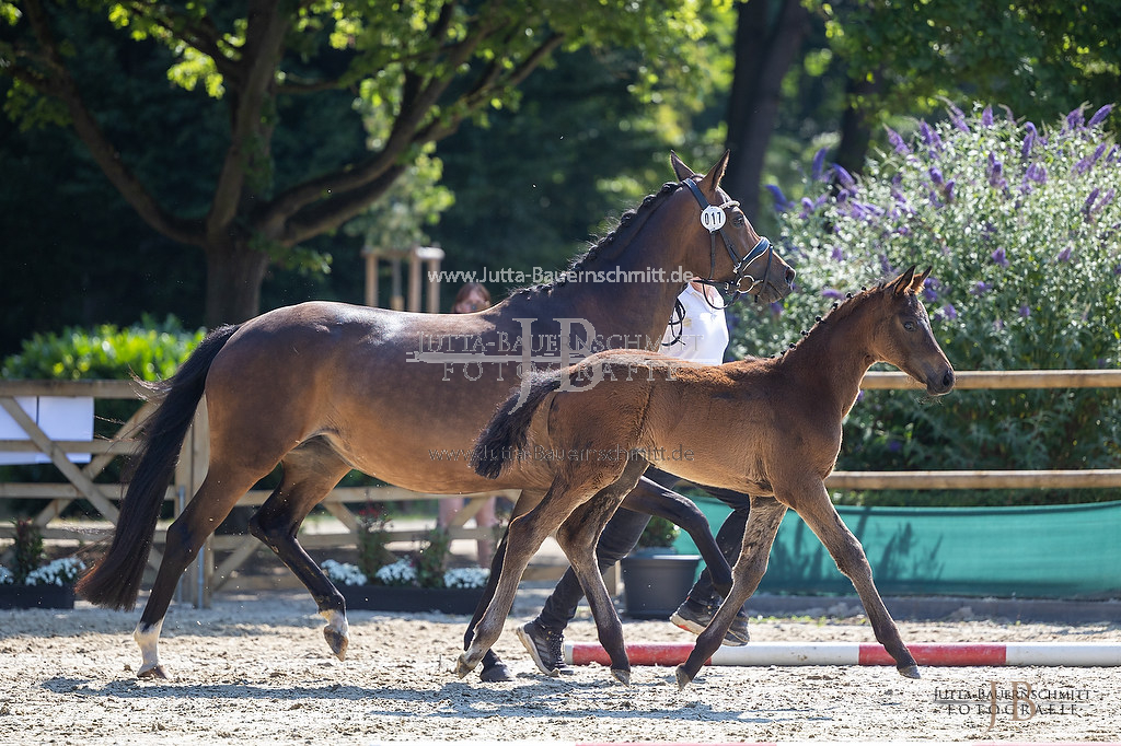 Preview 23-LSSHessen-3_Zaubernote_JB_05859.jpg