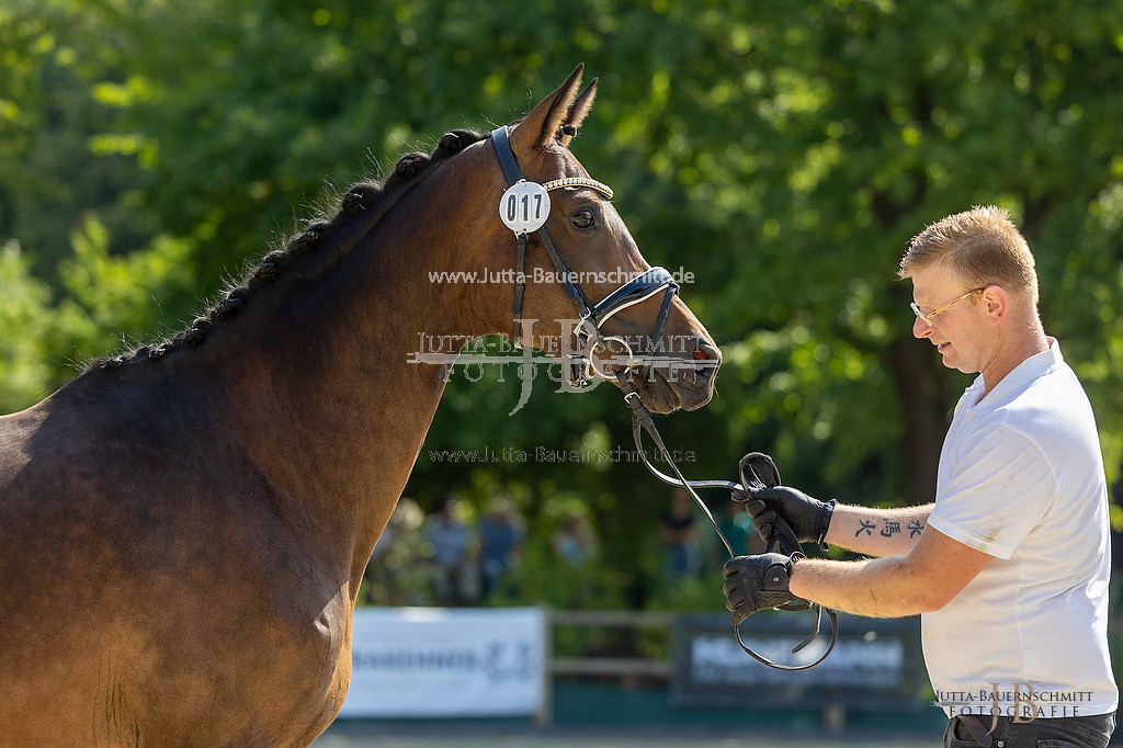 Preview 23-LSSHessen-3_Zaubernote_JB_05871.jpg