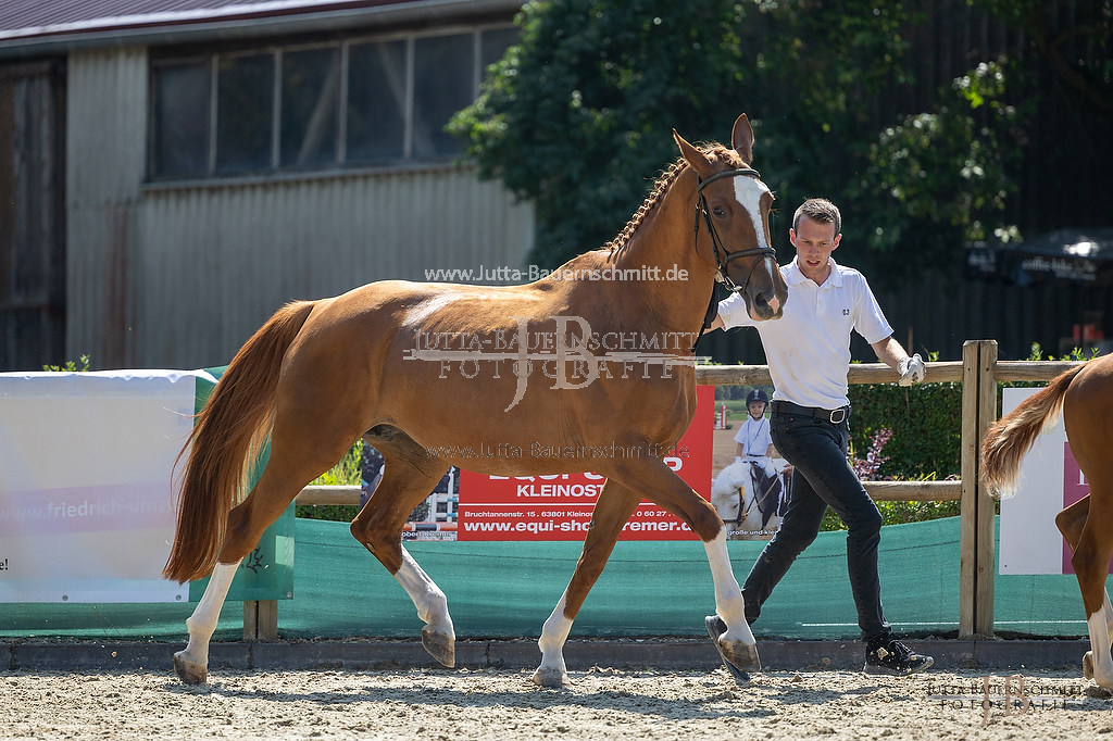 Preview web_23-LSSHessen-4_Reminiszenz_JB_06392.jpg