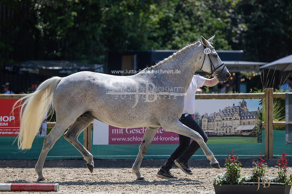 Preview 23-LSSHessen-5_Koenigsfreude_JB_06780.jpg