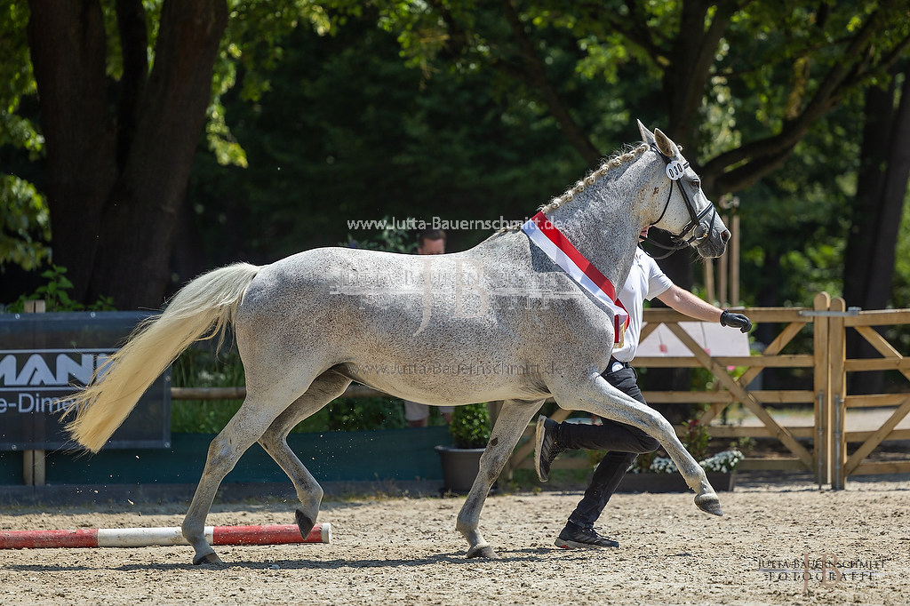 Preview 23-LSSHessen-5_Koenigsfreude_JB_06900.jpg