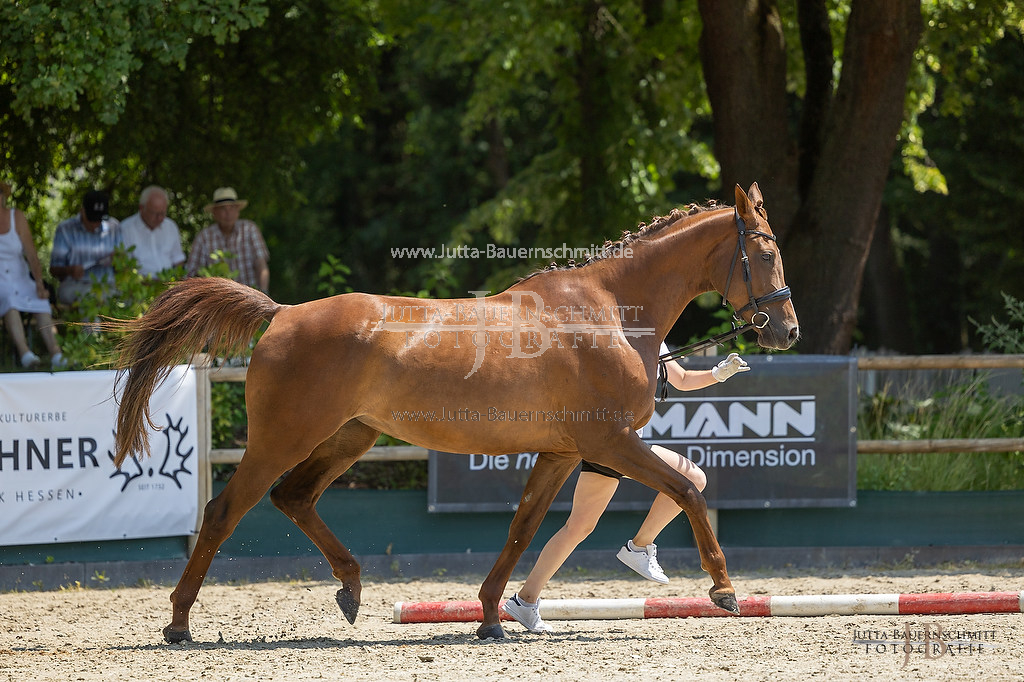 Preview 23-LSSHessen-6_Lefija_JB_06972.jpg