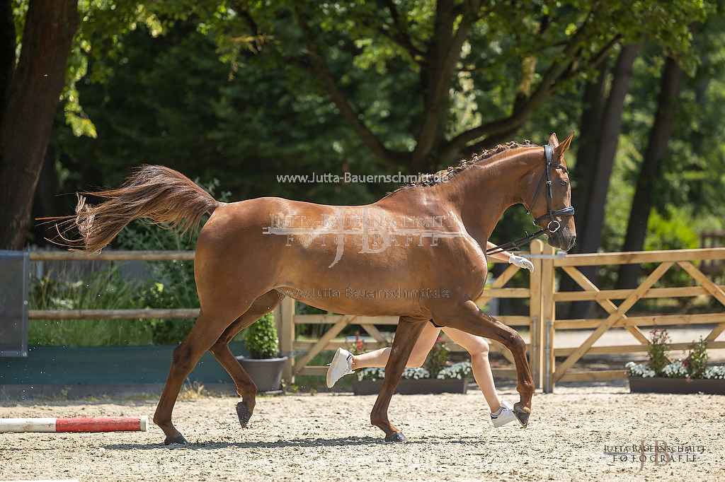 Preview 23-LSSHessen-6_Lefija_JB_06974.jpg