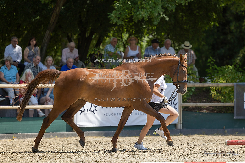 Preview 23-LSSHessen-6_Lefija_JB_07002.jpg