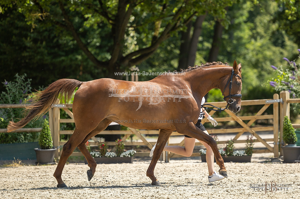 Preview 23-LSSHessen-6_Lefija_JB_07007.jpg