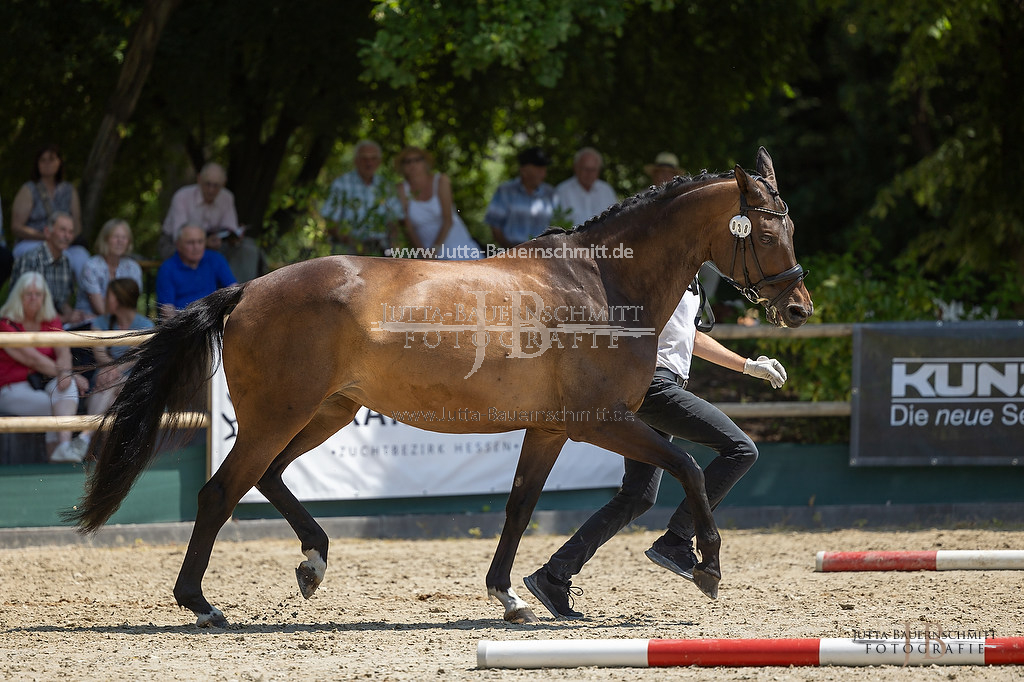 Preview 23-LSSHessen-6_Perla_JB_07058.jpg