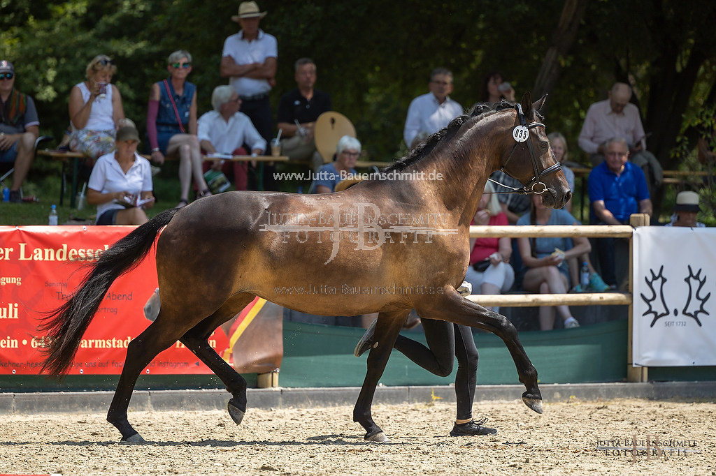 Preview 23-LSSHessen-6_Raylee_JB_06912.jpg