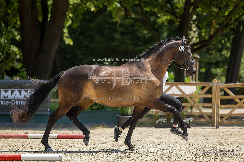 Preview 23-LSSHessen-6_Raylee_JB_06945.jpg