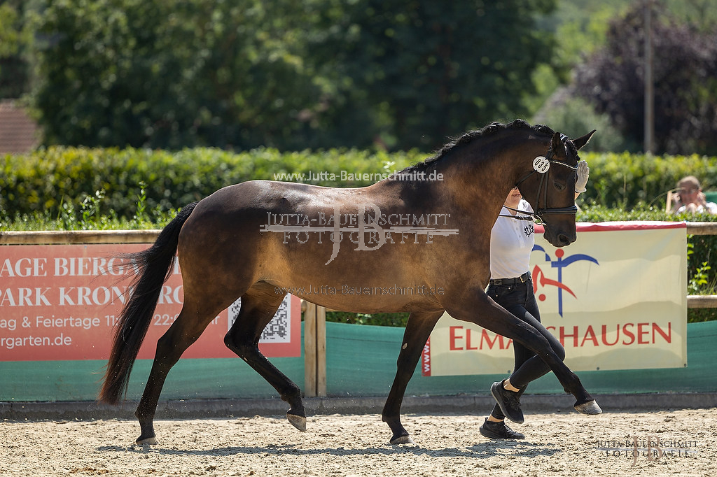 Preview 23-LSSHessen-6_Raylee_JB_06957.jpg