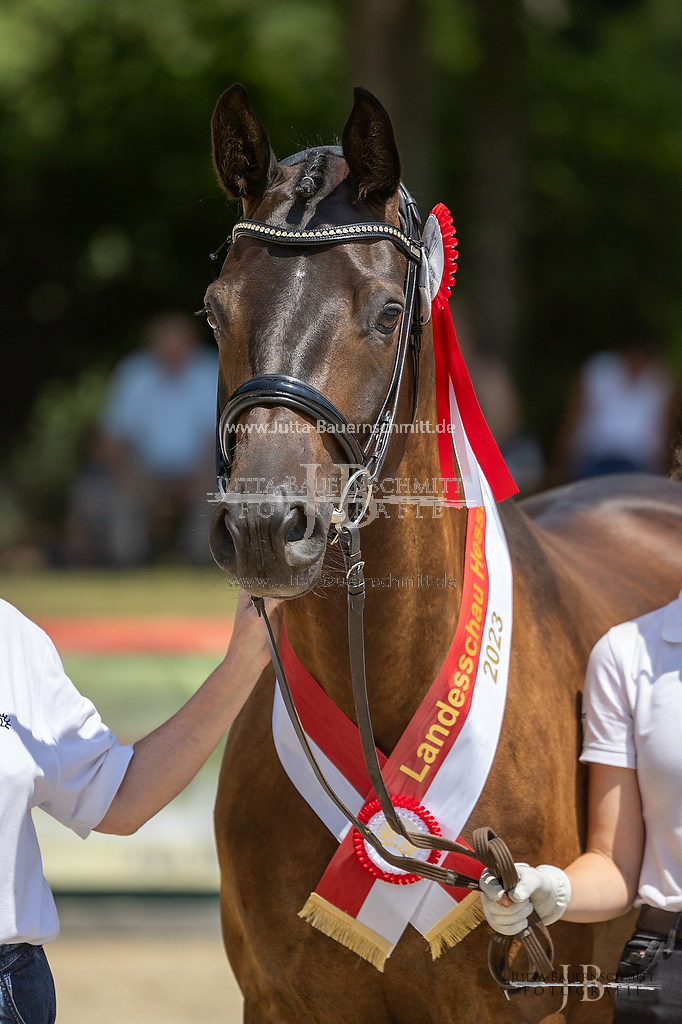 Preview 23-LSSHessen-6_Raylee_JB_07140.jpg