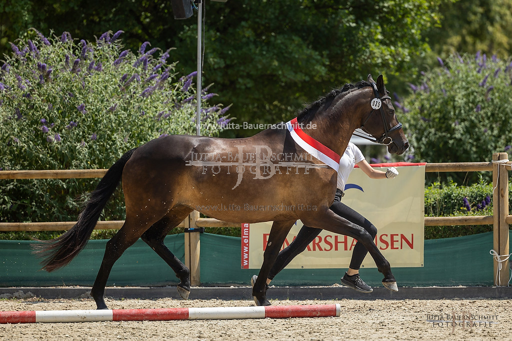 Preview 23-LSSHessen-6_Raylee_JB_07189.jpg