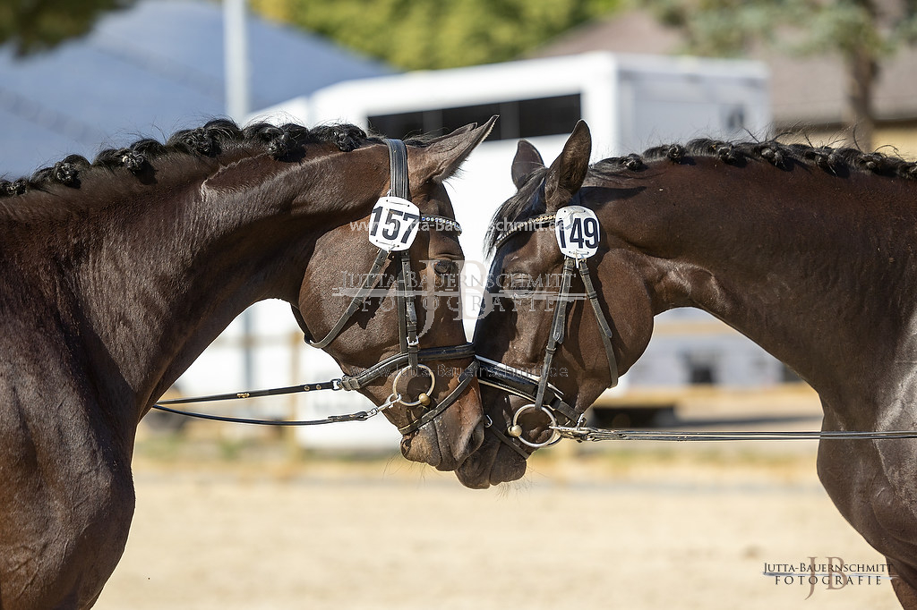 Preview 23-ZStEHessen-3_AliseeSkwahu_JB_04983.jpg