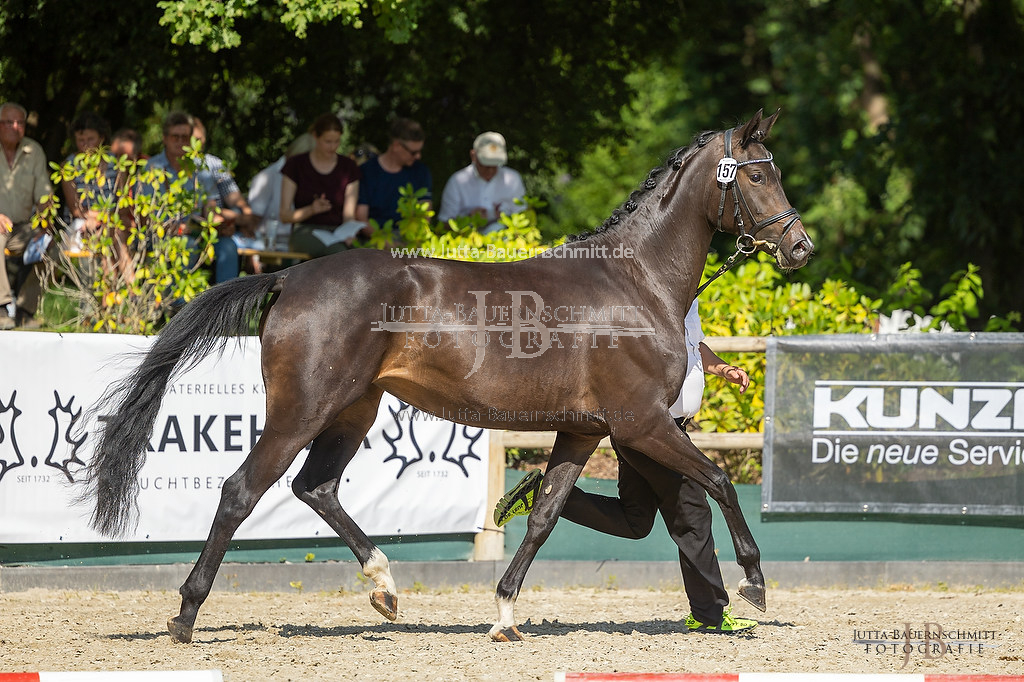 Preview 23-ZStEHessen-3_Alisee_JB_04784.jpg