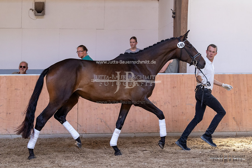 Preview 23-ZStEHessen-3_Koenigsgala_JB_03133.jpg