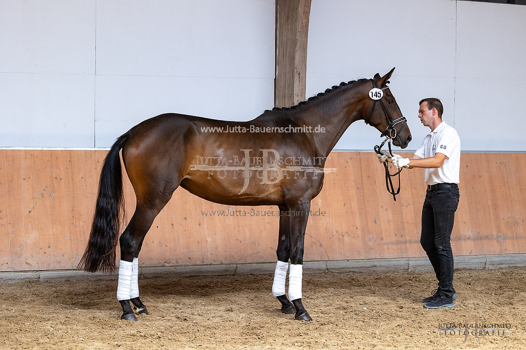 Preview 23-ZStEHessen-3_Koenigsgala_JB_03138.jpg