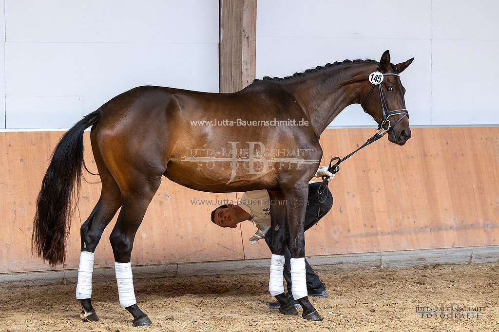 Preview 23-ZStEHessen-3_Koenigsgala_JB_03145.jpg