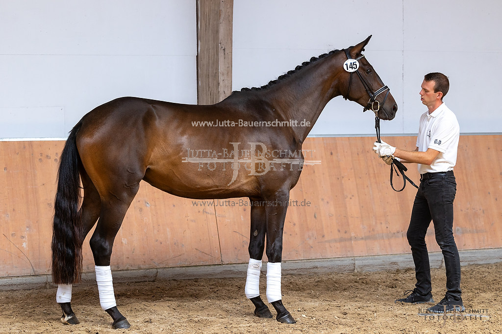 Preview 23-ZStEHessen-3_Koenigsgala_JB_03148.jpg