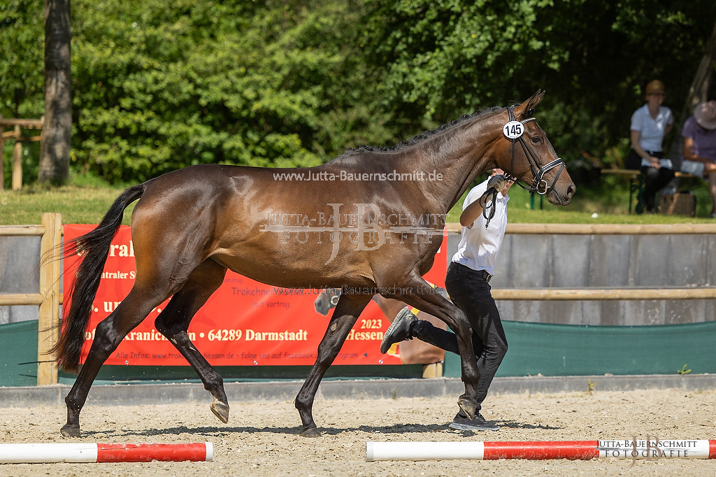 Preview 23-ZStEHessen-3_Koenigsgala_JB_04359.jpg